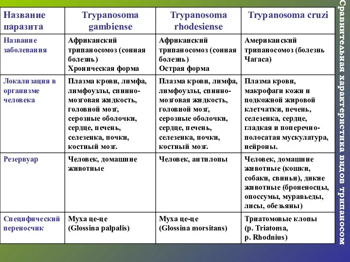 Сравнительная характеристика видов трипаносом