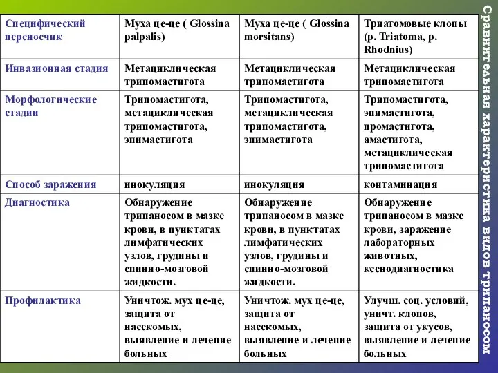 Сравнительная характеристика видов трипаносом