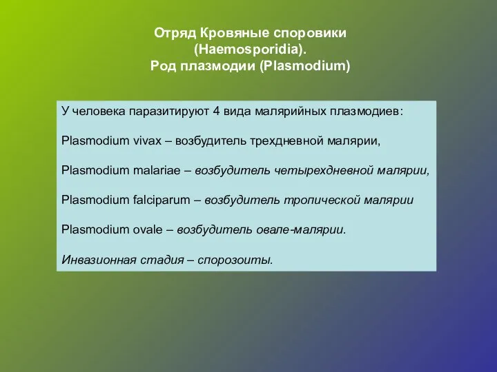 Отряд Кровяные споровики (Haemosporidia). Род плазмодии (Plasmodium) У человека паразитируют 4