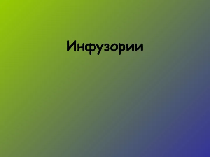 Инфузории