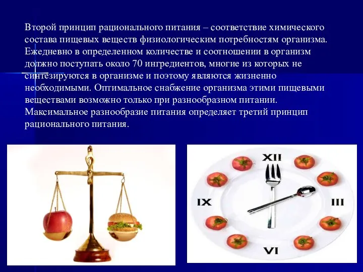 Второй принцип рационального питания – соответствие химического состава пищевых веществ физиологическим