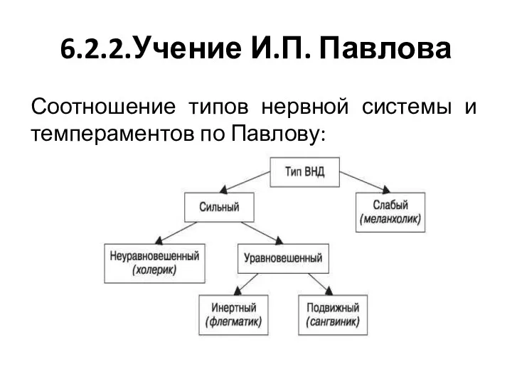 6.2.2.Учение И.П. Павлова Соотношение типов нервной системы и темпераментов по Павлову: