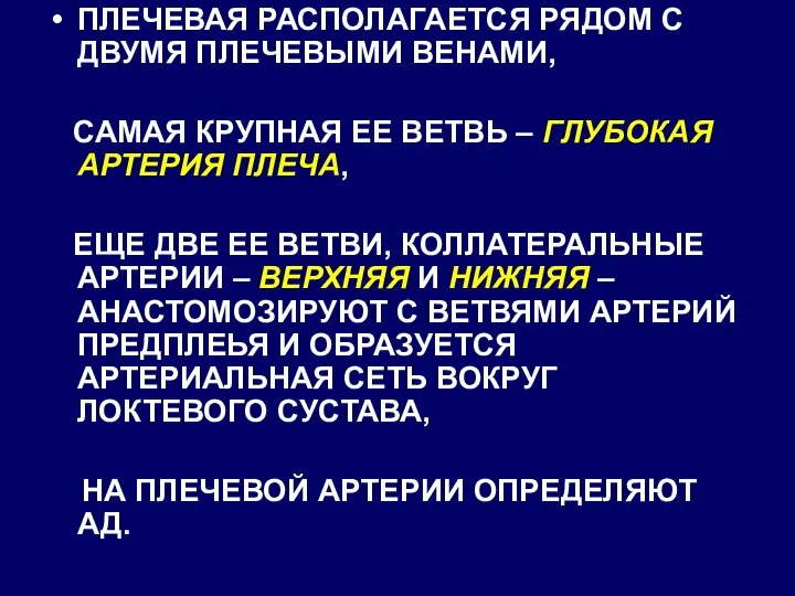 ПЛЕЧЕВАЯ РАСПОЛАГАЕТСЯ РЯДОМ С ДВУМЯ ПЛЕЧЕВЫМИ ВЕНАМИ, САМАЯ КРУПНАЯ ЕЕ ВЕТВЬ