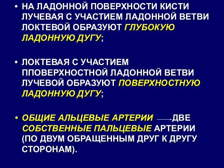 НА ЛАДОННОЙ ПОВЕРХНОСТИ КИСТИ ЛУЧЕВАЯ С УЧАСТИЕМ ЛАДОННОЙ ВЕТВИ ЛОКТЕВОЙ ОБРАЗУЮТ