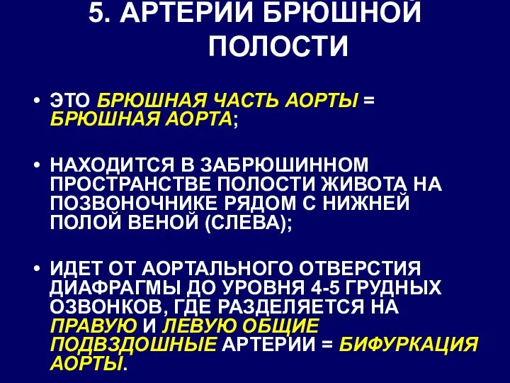 5. АРТЕРИИ БРЮШНОЙ ПОЛОСТИ ЭТО БРЮШНАЯ ЧАСТЬ АОРТЫ = БРЮШНАЯ АОРТА;