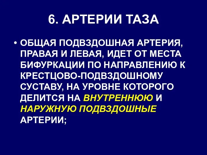 6. АРТЕРИИ ТАЗА ОБЩАЯ ПОДВЗДОШНАЯ АРТЕРИЯ, ПРАВАЯ И ЛЕВАЯ, ИДЕТ ОТ