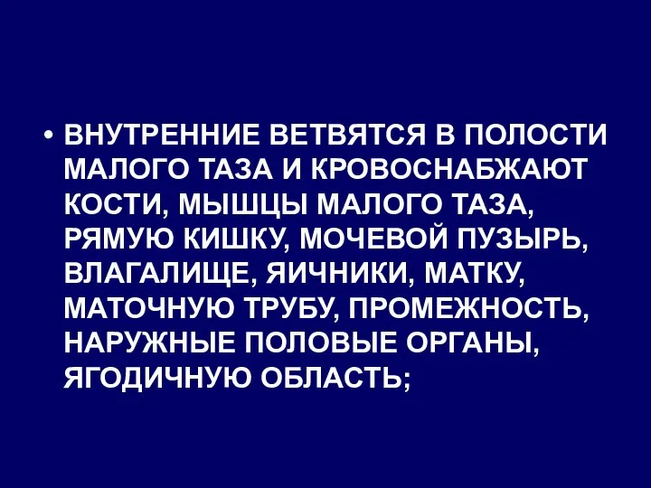 ВНУТРЕННИЕ ВЕТВЯТСЯ В ПОЛОСТИ МАЛОГО ТАЗА И КРОВОСНАБЖАЮТ КОСТИ, МЫШЦЫ МАЛОГО