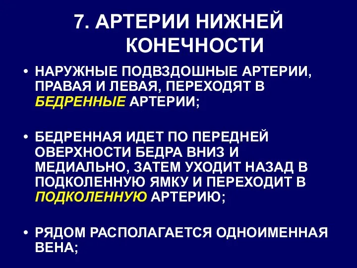 7. АРТЕРИИ НИЖНЕЙ КОНЕЧНОСТИ НАРУЖНЫЕ ПОДВЗДОШНЫЕ АРТЕРИИ, ПРАВАЯ И ЛЕВАЯ, ПЕРЕХОДЯТ