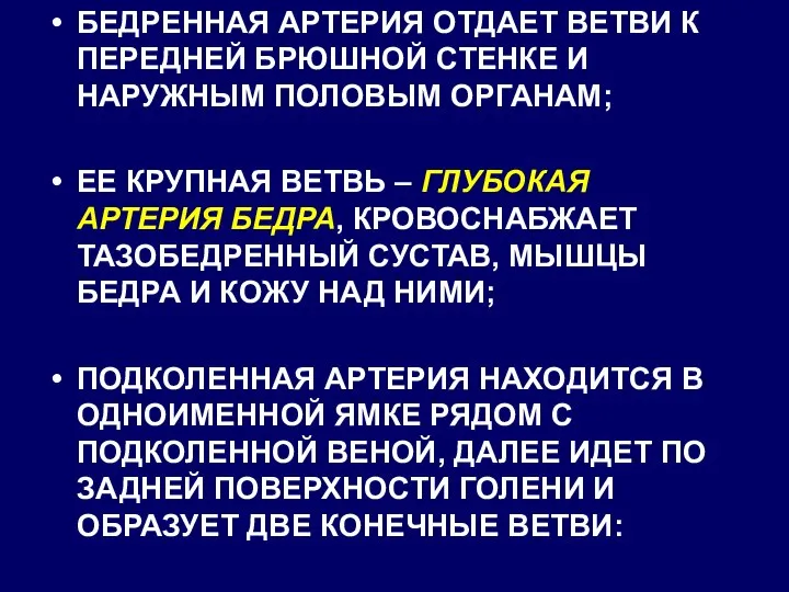 БЕДРЕННАЯ АРТЕРИЯ ОТДАЕТ ВЕТВИ К ПЕРЕДНЕЙ БРЮШНОЙ СТЕНКЕ И НАРУЖНЫМ ПОЛОВЫМ