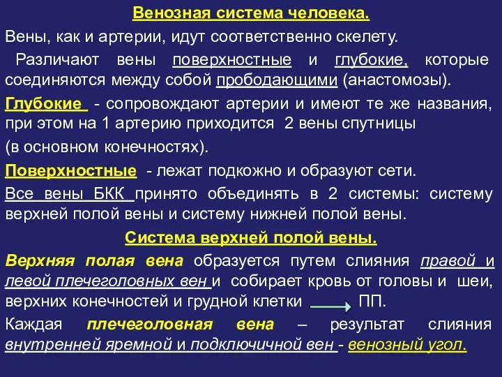 Венозная система человека. Вены, как и артерии, идут соответственно скелету. Различают