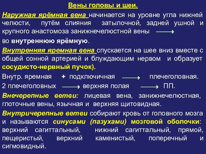 Вены головы и шеи. Наружная ярёмная вена начинается на уровне угла