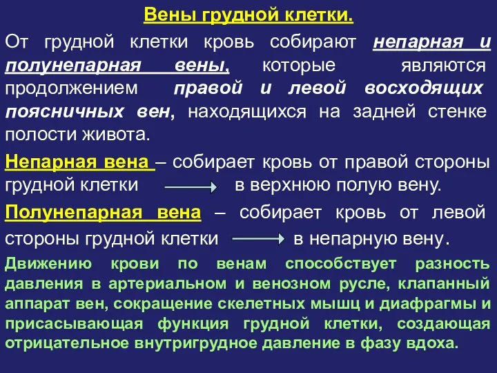 Вены грудной клетки. От грудной клетки кровь собирают непарная и полунепарная