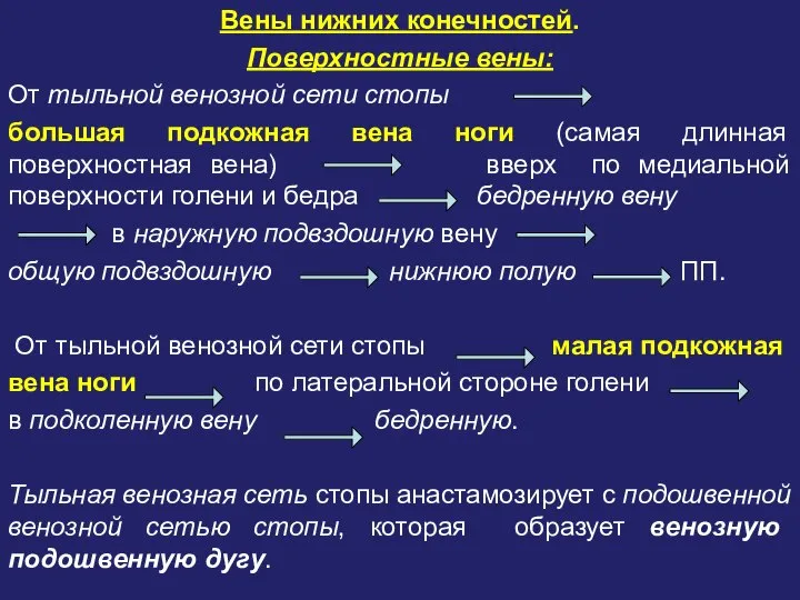 Вены нижних конечностей. Поверхностные вены: От тыльной венозной сети стопы большая