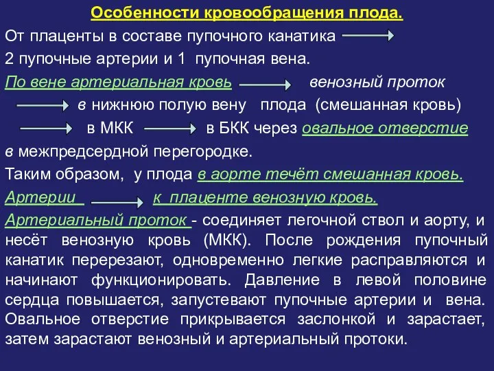 Особенности кровообращения плода. От плаценты в составе пупочного канатика 2 пупочные