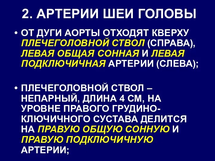 2. АРТЕРИИ ШЕИ ГОЛОВЫ ОТ ДУГИ АОРТЫ ОТХОДЯТ КВЕРХУ ПЛЕЧЕГОЛОВНОЙ СТВОЛ