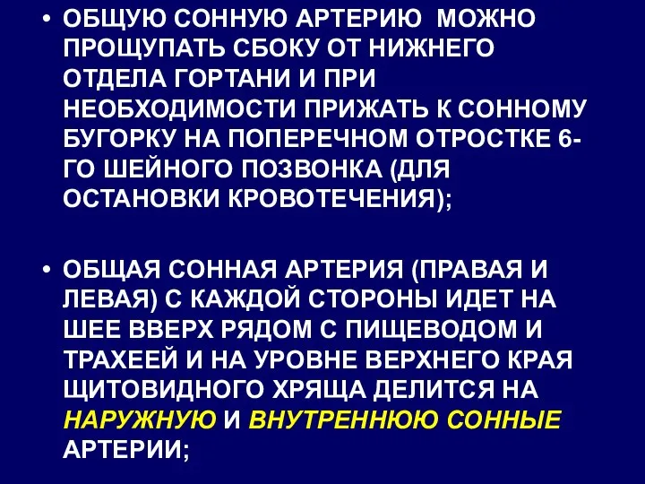 ОБЩУЮ СОННУЮ АРТЕРИЮ МОЖНО ПРОЩУПАТЬ СБОКУ ОТ НИЖНЕГО ОТДЕЛА ГОРТАНИ И