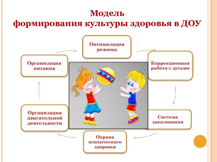 Модель формирования культуры здоровья в ДОУ