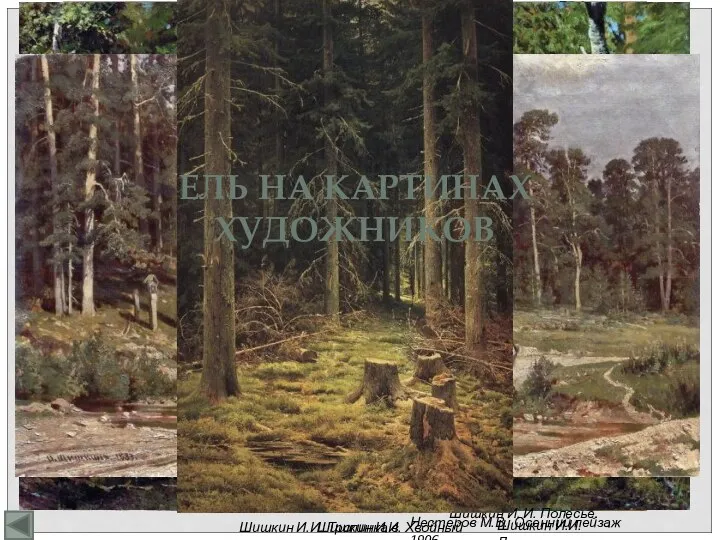 Нестеров М.В. Осенний пейзаж 1906 Шишкин И.И. Лес. Шишкин И. И.