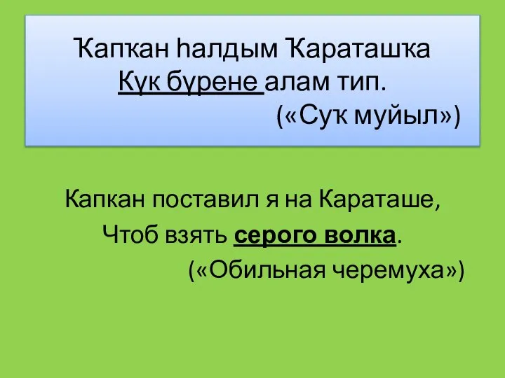 Ҡапҡан һалдым Ҡараташҡа Күк бүрене алам тип. («Суҡ муйыл») Капкан поставил