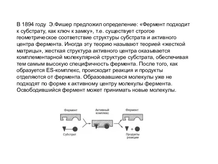 В 1894 году Э.Фишер предложил определение: «Фермент подходит к субстрату, как