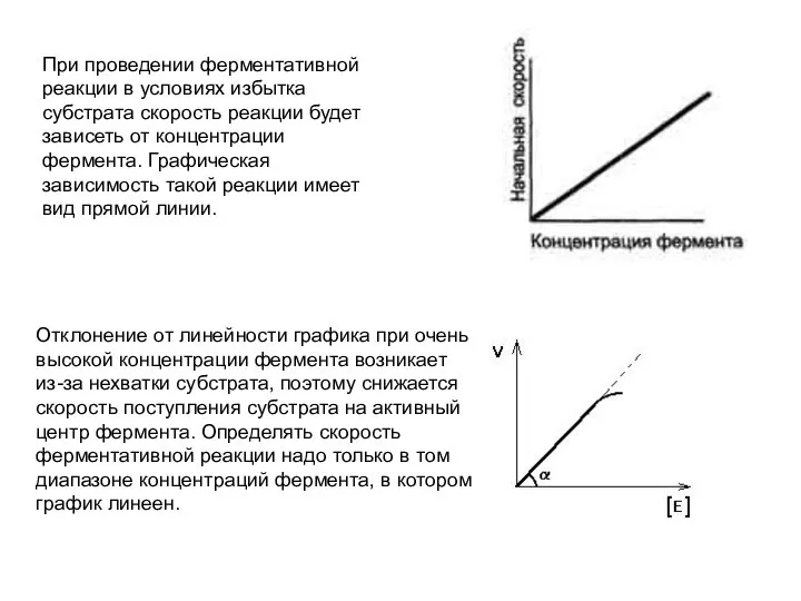 При проведении ферментативной реакции в условиях избытка субстрата скорость реакции будет