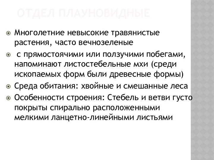 ОТДЕЛ ПЛАУНОВИДНЫЕ Многолетние невысокие травянистые растения, часто вечнозеленые с прямостоячими или