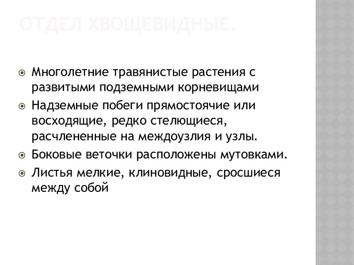 ОТДЕЛ ХВОЩЕВИДНЫЕ. Многолетние травянистые растения с развитыми подземными корневищами Надземные побеги