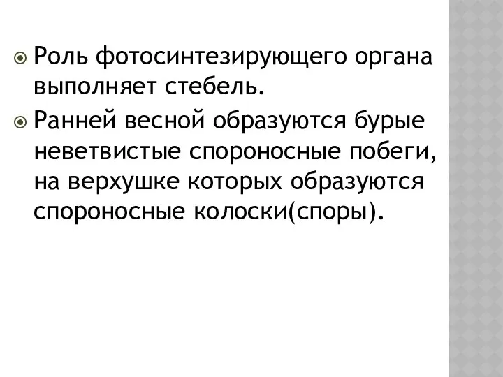 Роль фотосинтезирующего органа выполняет стебель. Ранней весной образуются бурые неветвистые спороносные