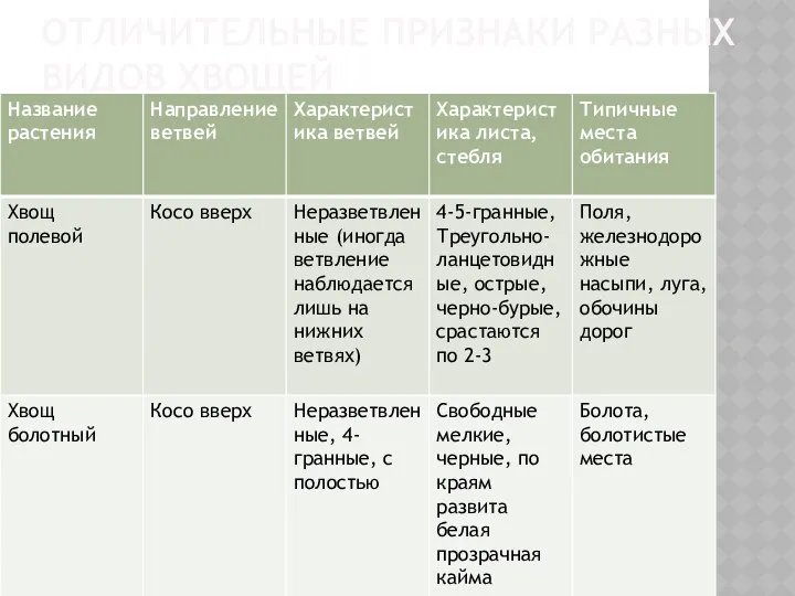 ОТЛИЧИТЕЛЬНЫЕ ПРИЗНАКИ РАЗНЫХ ВИДОВ ХВОЩЕЙ