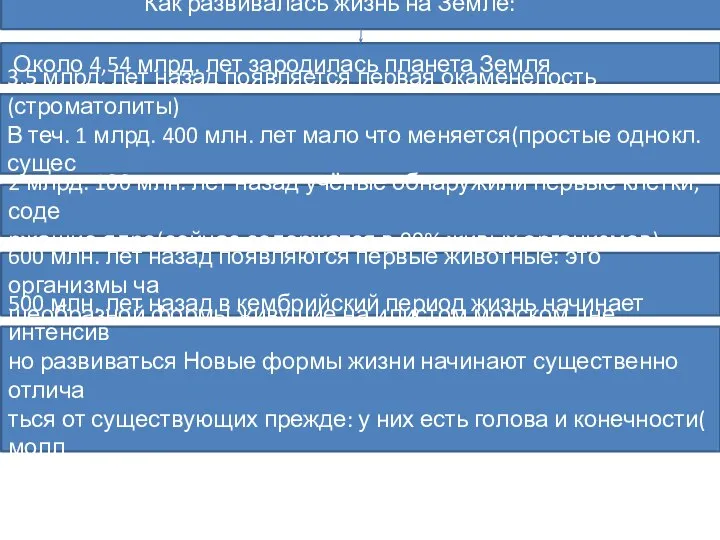 Как развивалась жизнь на Земле: Около 4,54 млрд. лет зародилась планета