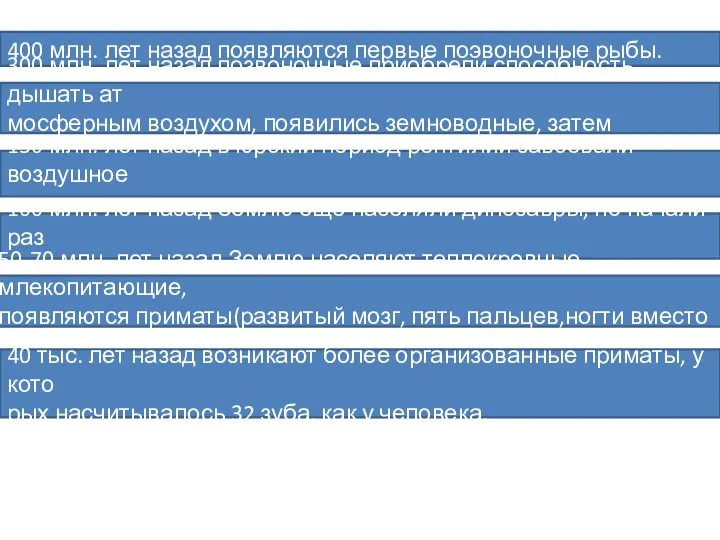 400 млн. лет назад появляются первые поэвоночные рыбы. 300 млн. лет