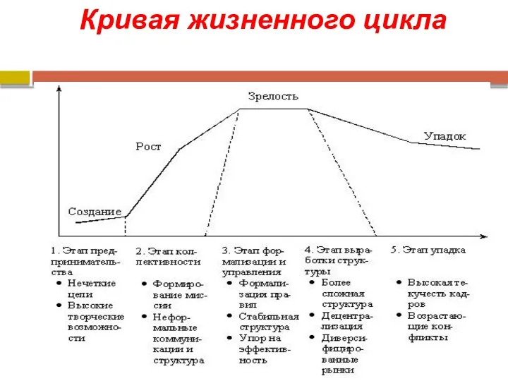 Кривая жизненного цикла