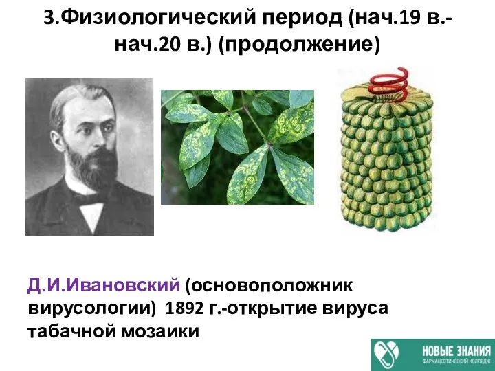 3.Физиологический период (нач.19 в.-нач.20 в.) (продолжение) Д.И.Ивановский (основоположник вирусологии) 1892 г.-открытие вируса табачной мозаики