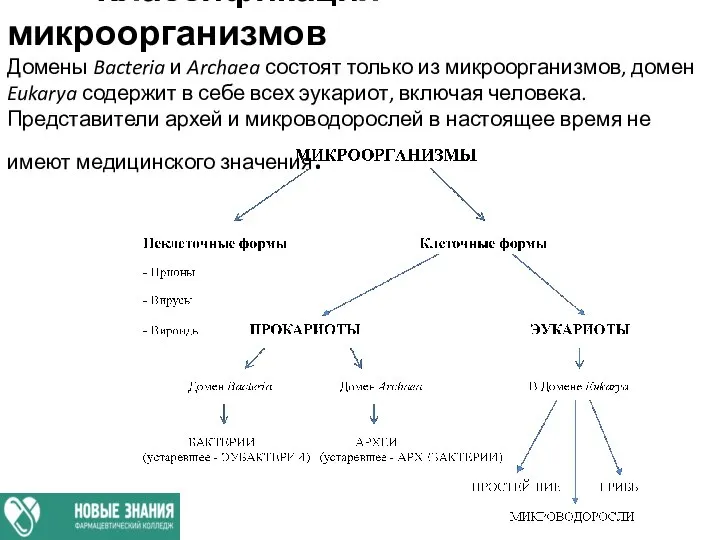 Классификация микроорганизмов Домены Bacteria и Archaea состоят только из микроорганизмов, домен