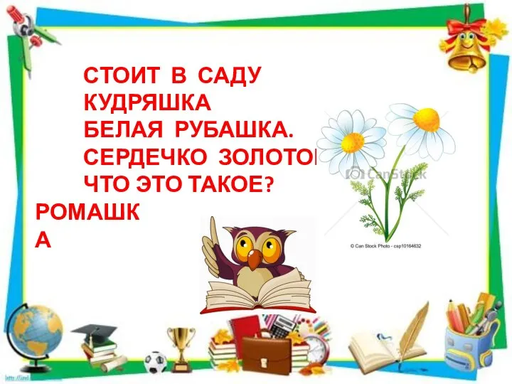 СТОИТ В САДУ КУДРЯШКА БЕЛАЯ РУБАШКА. СЕРДЕЧКО ЗОЛОТОЕ. ЧТО ЭТО ТАКОЕ? РОМАШКА