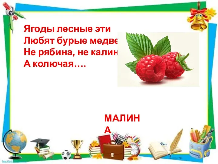 Ягоды лесные эти Любят бурые медведи. Не рябина, не калина, А колючая…. МАЛИНА