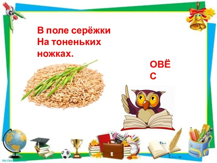 В поле серёжки На тоненьких ножках. ОВЁС