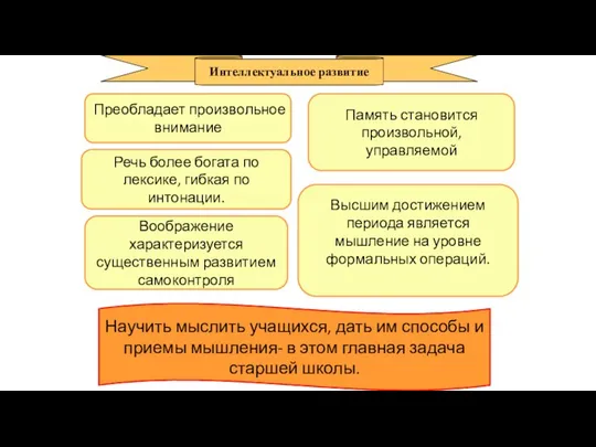 Преобладает произвольное внимание Память становится произвольной, управляемой Речь более богата по