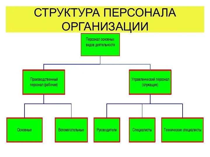 СТРУКТУРА ПЕРСОНАЛА ОРГАНИЗАЦИИ