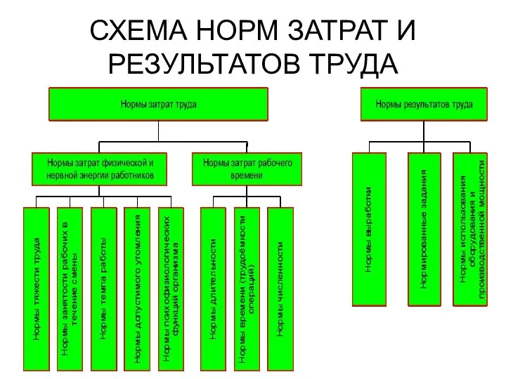 СХЕМА НОРМ ЗАТРАТ И РЕЗУЛЬТАТОВ ТРУДА