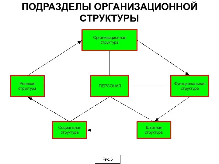 ПОДРАЗДЕЛЫ ОРГАНИЗАЦИОННОЙ СТРУКТУРЫ