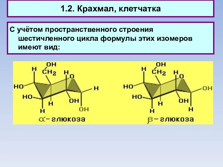 1.2. Крахмал, клетчатка С учётом пространственного строения шестичленного цикла формулы этих изомеров имеют вид: