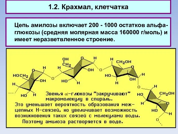 1.2. Крахмал, клетчатка Цепь амилозы включает 200 - 1000 остатков альфа-