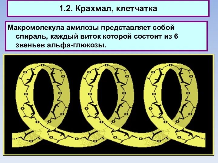 1.2. Крахмал, клетчатка Макромолекула амилозы представляет собой спираль, каждый виток которой состоит из 6 звеньев альфа-глюкозы.