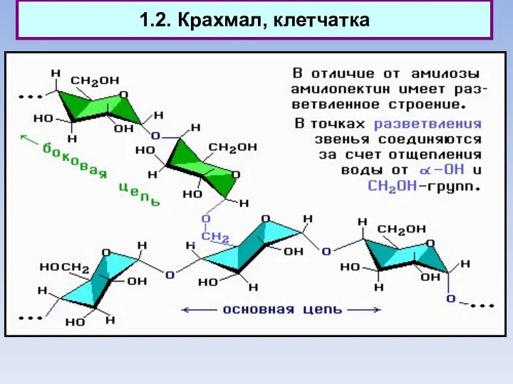 1.2. Крахмал, клетчатка