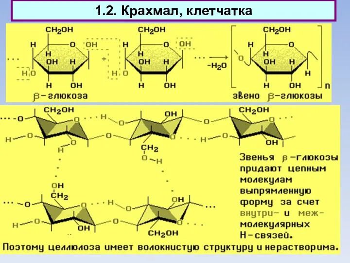 1.2. Крахмал, клетчатка