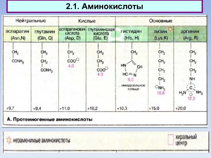 2.1. Аминокислоты