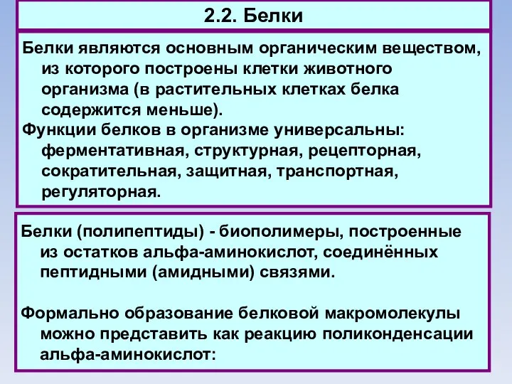 2.2. Белки Белки являются основным органическим веществом, из которого построены клетки