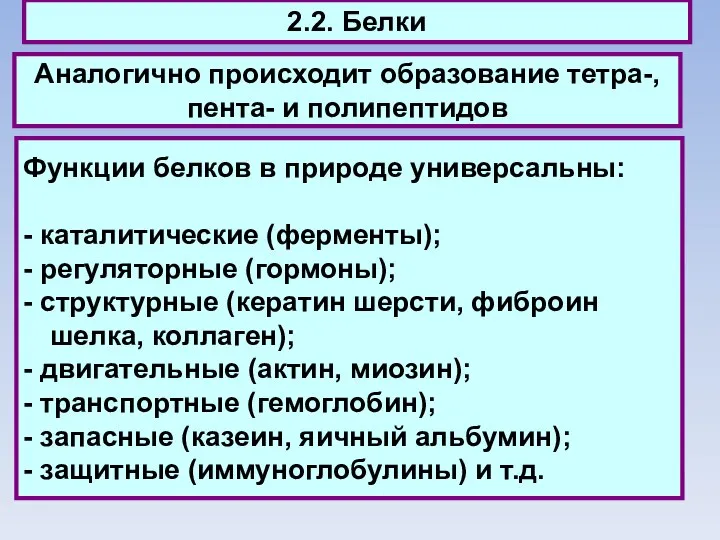 2.2. Белки Аналогично происходит образование тетра-, пента- и полипептидов Функции белков