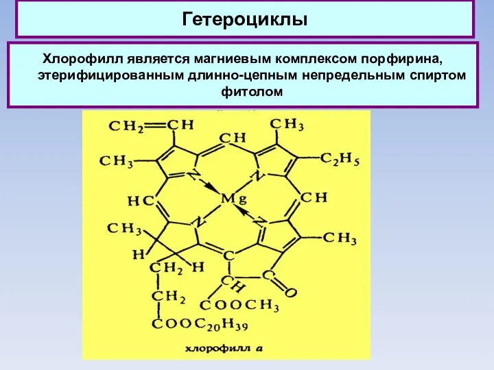 Гетероциклы Хлорофилл является магниевым комплексом порфирина, этерифицированным длинно-цепным непредельным спиртом фитолом